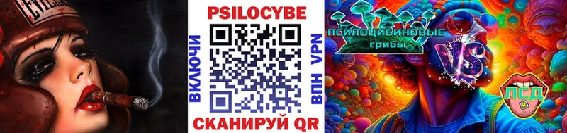 Галлюциногенные грибы Psilocybine cubensis наркотики Бор